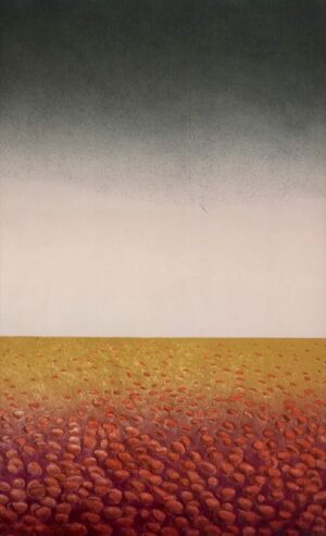 7. PAPAVERFÄLTET, LITO 50X80 CM